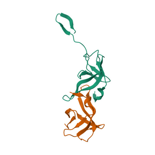 RCSB PDB - 8ONW: Crystal structure of the hetero-dimeric complex from ...