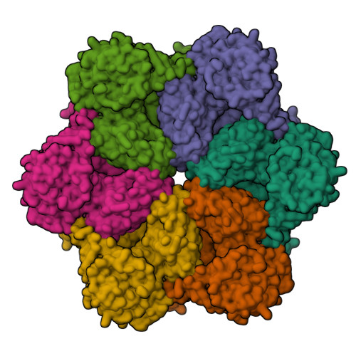 RCSB PDB - 8OOI: Full composite cryo-EM map of p97/VCP in ADP.Pi state