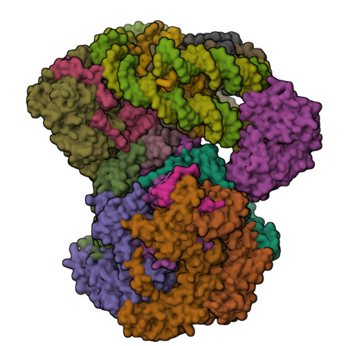 RCSB PDB - 8OOP: CryoEM Structure INO80core Hexasome complex composite ...