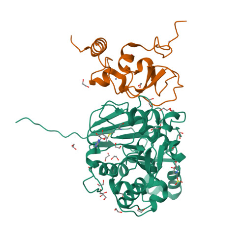 Rcsb Pdb 8ot0 Sars Cov 2 Nsp10 16 Methyltransferase In Complex With Mta And Glycine