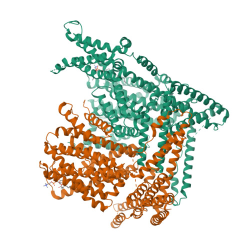 Otw Structures RCSB PDB - 8OTW: Cryo-EM structure of Strongylocentrotus purpuratus ...