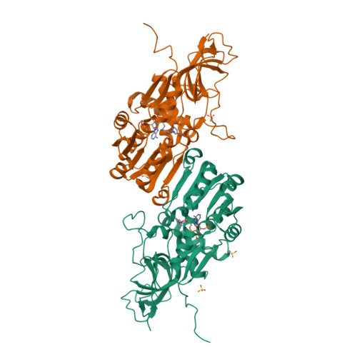 RCSB PDB - 8OV8: Crystal structure of Ene-reductase 1 from black poplar ...