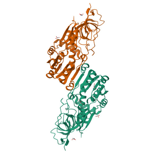 RCSB PDB - 8OV9: Crystal structure of Ene-reductase 1 from black poplar ...