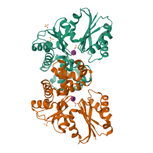 RCSB PDB - 8OW7: Crystal structure of Tannerella forsythia sugar kinase ...