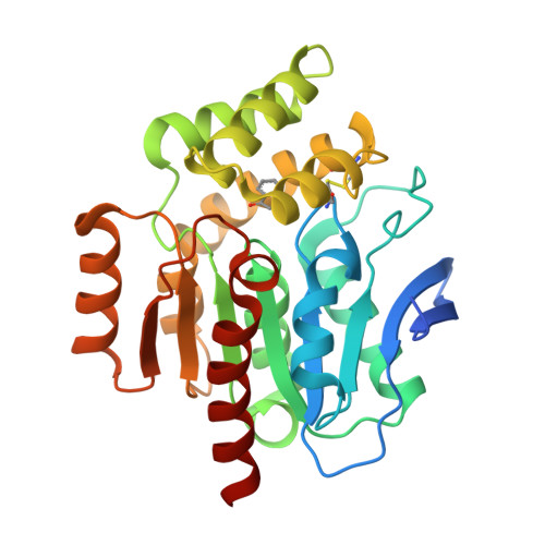 RCSB PDB - 8OXN: CRYSTAL STRUCTURE OF THE COFACTOR-DEVOID 1-H-3-HYDROXY ...