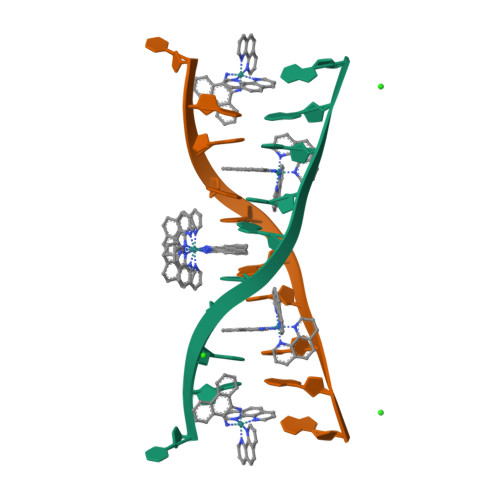 RCSB PDB - 8OYR: DNA Major Groove Binding by lambda-[Ru(phen)2(phi)]2+