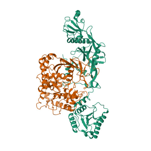 RCSB PDB - 8OZC: cryoEM structure of SPARTA complex heterodimer apo