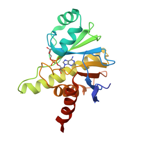 RCSB PDB - 8P0E: Rubella virus p150 macro domain in complex with ADP-ribose