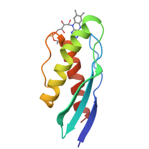RCSB PDB - 8P2A: Crystal structure of SaFMN3 domain 2