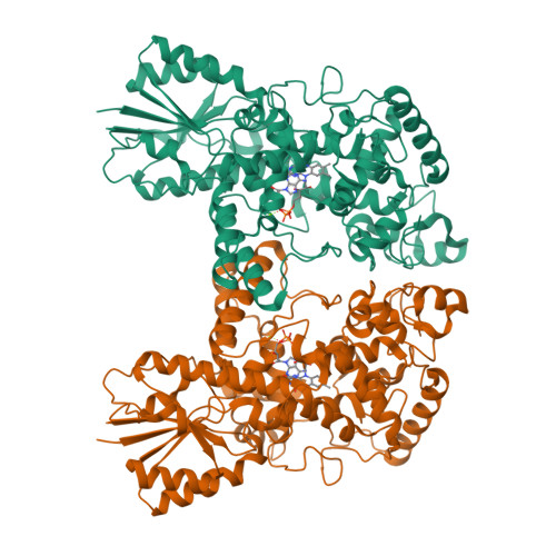 Rcsb Pdb P X Fad Ox Bound Dark State Structure Of Pdlcry