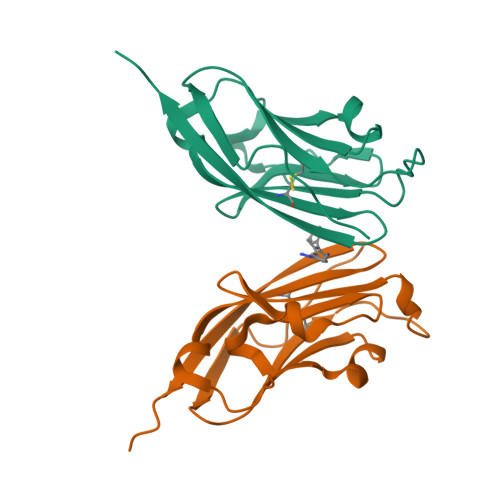 RCSB PDB - 8P64: Co-crystal structure of PD-L1 with low molecular ...