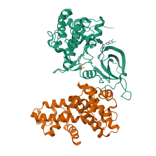 RCSB PDB - 8P81: Crystal structure of human Cdk12/Cyclin K in complex ...