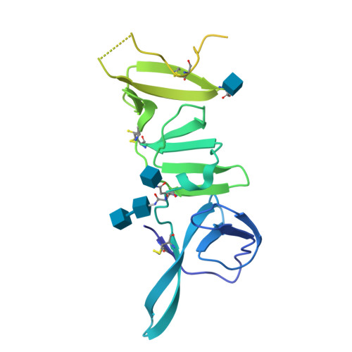 RCSB PDB - 8PAE: Structure of the ectodomain of Atypical Porcine ...