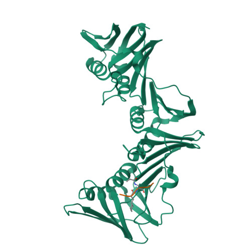 RCSB PDB - 8PAT: Structure of the E.coli DNA polymerase sliding clamp ...