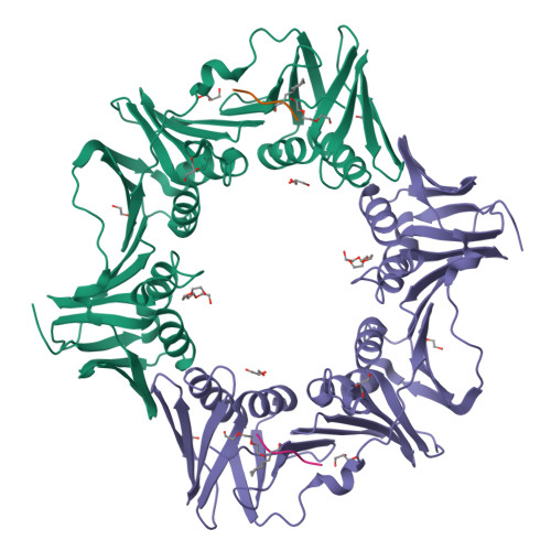 RCSB PDB - 8PAY: Structure of the E.coli DNA polymerase sliding clamp ...