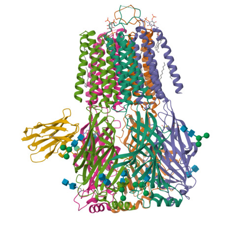 RCSB PDB - 8PET: Cryo-EM structure of the full-length human alpha1beta3 ...