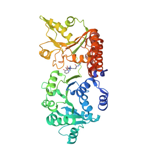 RCSB PDB - 8PFL: Crystal structure of WRN helicase domain in complex with 3