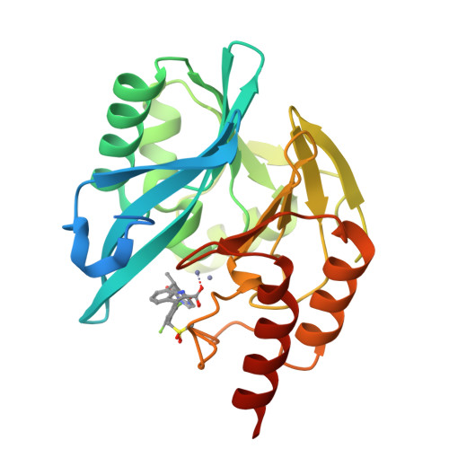 RCSB PDB - 8PGG: Crystal structure of the metallo-beta-lactamase VIM1 ...