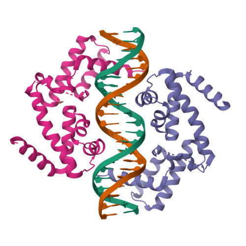 RCSB PDB - 8PIA: DNA binding domain of HNF-1A bound to P2-HNF4A ...