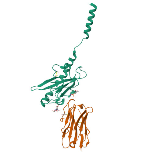 RCSB PDB - 8PIJ: Neisseria Meningitidis Type IV Pilus SB-GATDH Variant ...