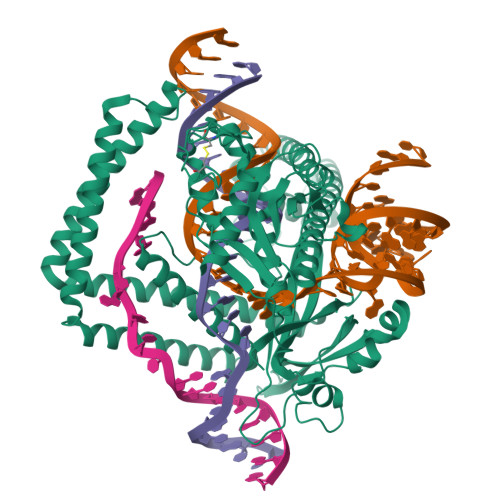 RCSB PDB - 8PM4: Cryo-EM structure of the Cas12m-crRNA-target DNA complex