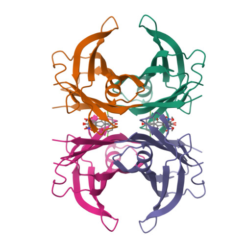 Rcsb Pdb Pm Crystal Structure Of Human Wild Type Transthyretin In Complex With Pitb