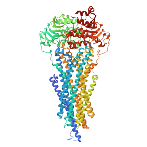 RCSB PDB - 8PMD: Nucleotide-bound BSEP in nanodiscs