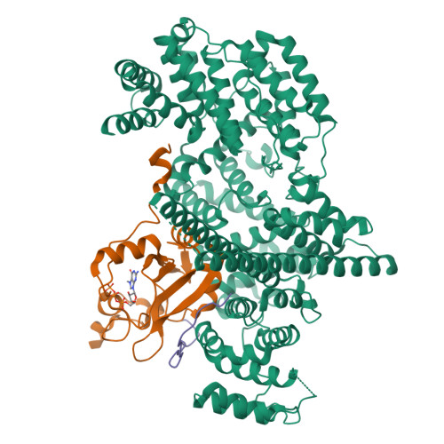 Rcsb Pdb 8pmp Structure Of The Human Nuclear Cap Binding Complex Bound To Ars2 147 871 And M7gtp 5702