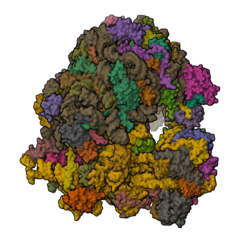 Pnn Structure RCSB PDB - 8PNN: 80S yeast ribosome in complex with Bromolissoclimide