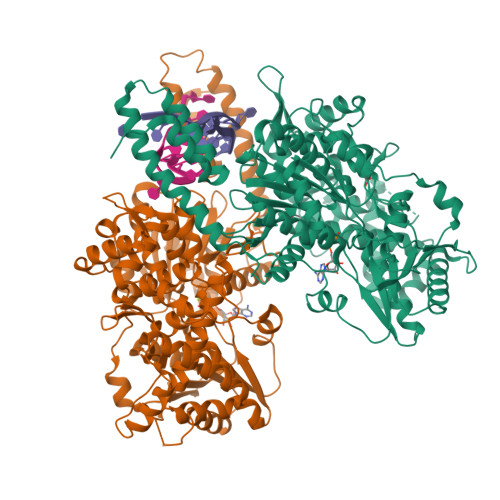 RCSB PDB - 8PO8: Structure of Escherichia coli HrpA in complex with ADP ...