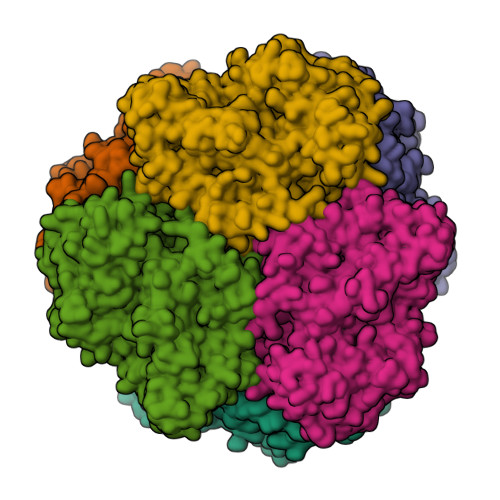 RCSB PDB - 8PO9: Polyethylene oxidation hexamerin PEase Cibeles (XP ...