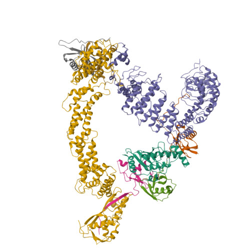 RCSB PDB - 8PQL: K48-linked ubiquitin chain formation with a cullin ...