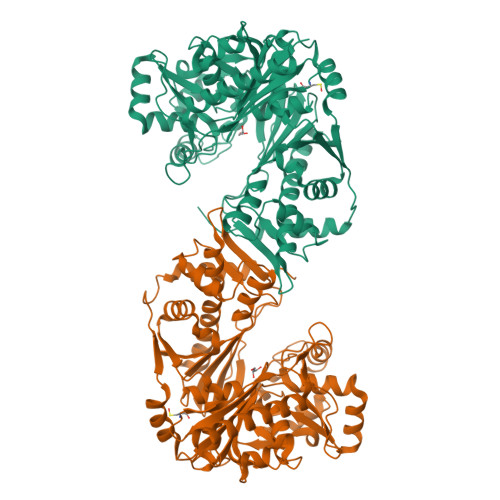 RCSB PDB - 8PRY: Crystal structure of Trypanosoma cruzi glycerol kinase