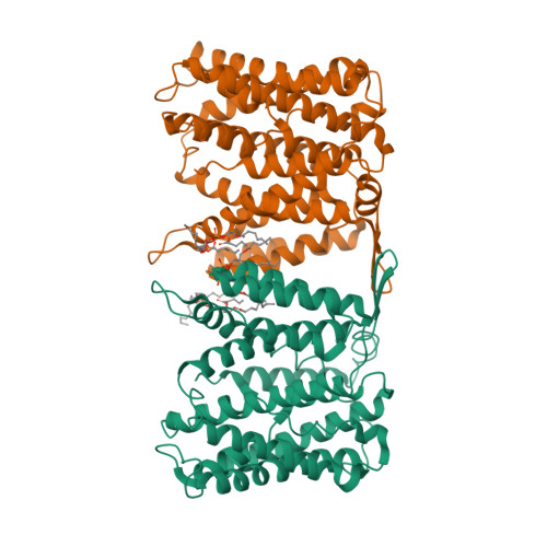 RCSB PDB - 8PS0: Cryo-EM structure of Sodium proton exchanger NhaA with ...