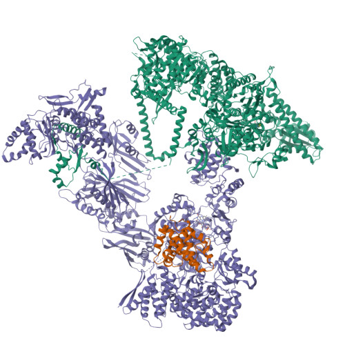 RCSB PDB - 8PSG: Asymmetric Unit Of The Yeast Fatty Acid Synthase In ...