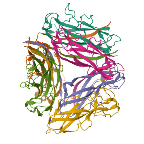 RCSB PDB 8PSV 2 7 A Cryo EM Structure Of In Vitro Assembled Type 1 Pilus Rod