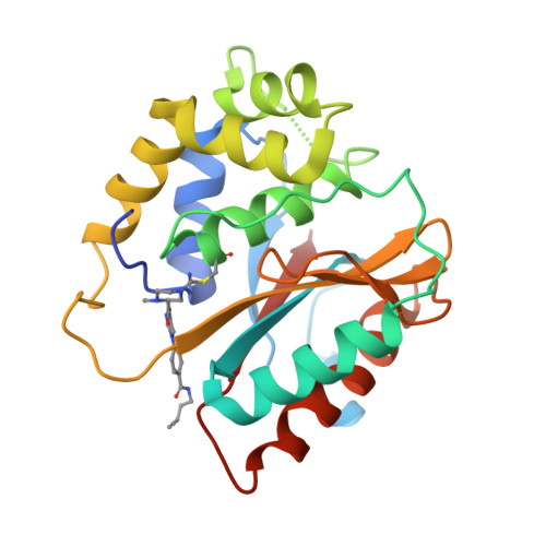 RCSB PDB - 8PW1: Structure of human UCHL1 in complex with