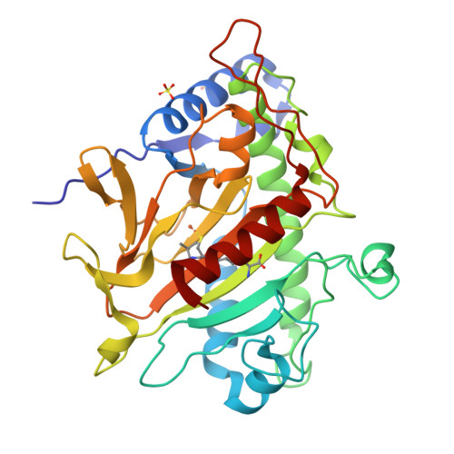 RCSB PDB - 8PY5: Isopenicillin N synthase in complex with Fe and ACdV ...
