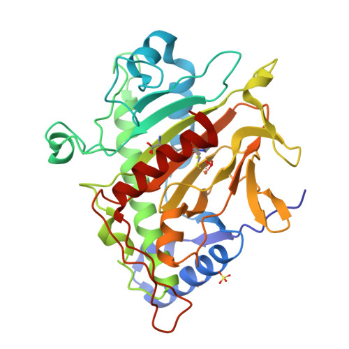 RCSB PDB - 8PYA: Isopenicillin N synthase in complex with Fe, O2, ACdV ...