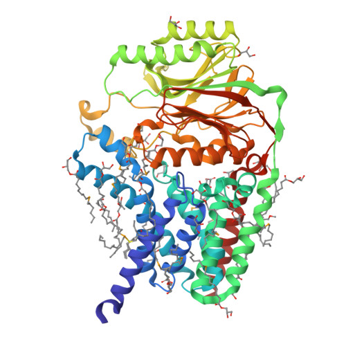 RCSB PDB - 8Q2P: Structure of the membrane integral lipoprotein N ...