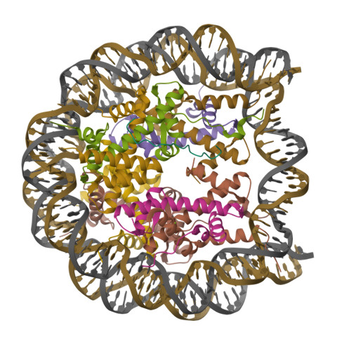 Rcsb Pdb Q E High Resolution Structure Of Nucleosome Core With