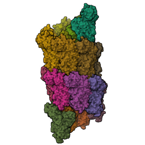 Rcsb Pdb Q P Bacterial Transcription Termination Factor Rho G D Mutant