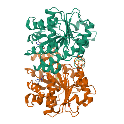 RCSB PDB - 8Q5V: MgADP-bound Fe protein of the molybdenum nitrogenase ...