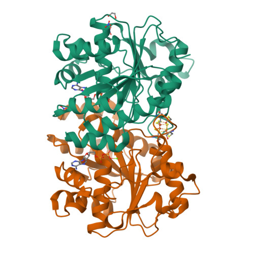 RCSB PDB - 8Q5W: MgADP-bound Fe protein of the molybdenum nitrogenase ...