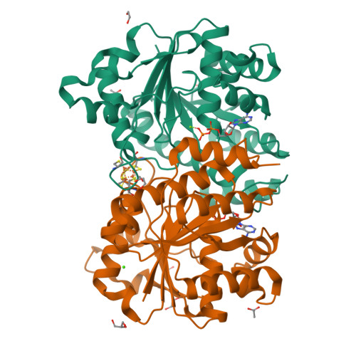 RCSB PDB - 8Q5X: MgADP-bound Fe protein of the molybdenum nitrogenase ...
