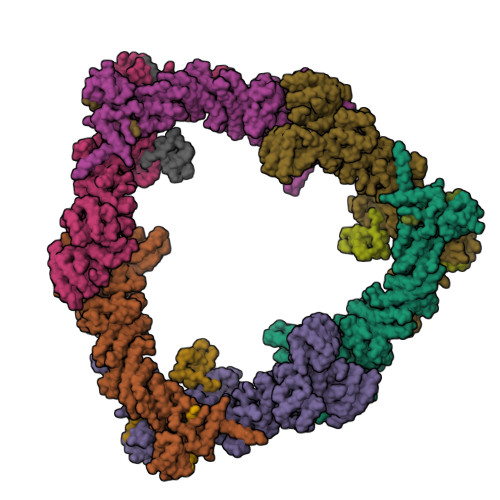 RCSB PDB - 8Q7E: Structure of CUL9-RBX1 ubiquitin E3 ligase complex ...