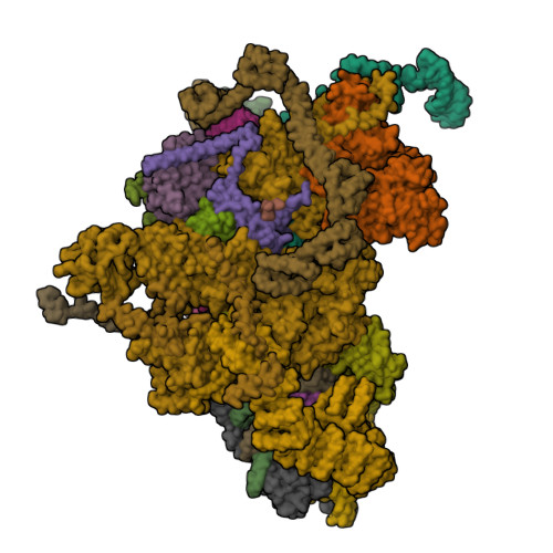 RCSB PDB - 8Q7N: cryo-EM structure of the human spliceosomal B complex ...
