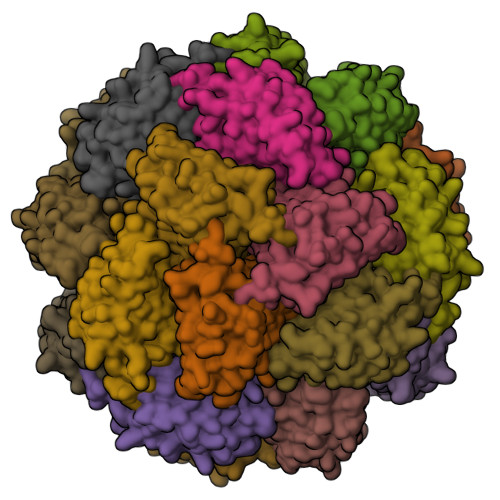 Trs Rscb RCSB PDB - 8QAW: Medicago truncatula HISN5 (IGPD) in complex with MN ...