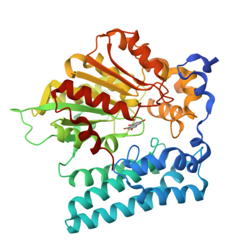 RCSB PDB - 8QD9: Wdyg1p in complex with 1,3,6,8-Tetrahydroxynaphthalene