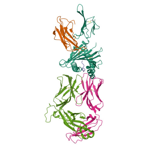 RCSB PDB - 8QFY: Crystal structure of high affinity TCR in complex with ...